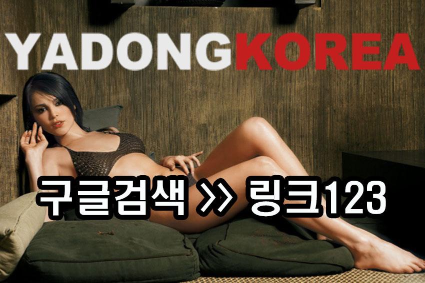 야동코리아.jpg